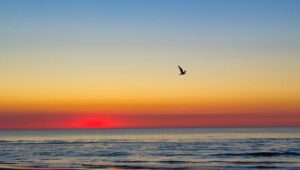 vives y trabajas above o below the line