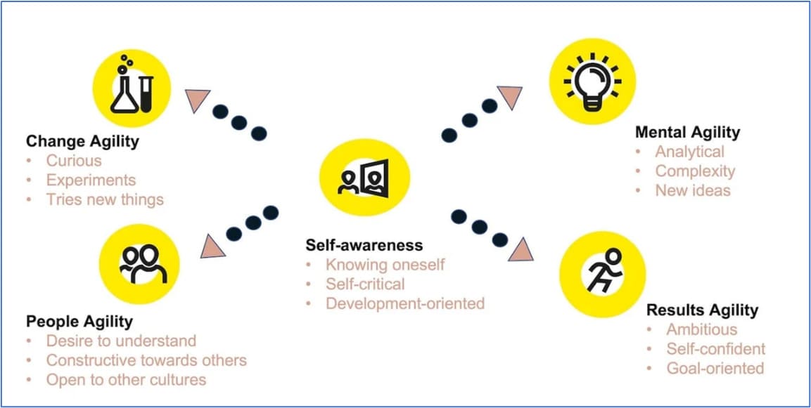 La “agilidad de aprendizaje”