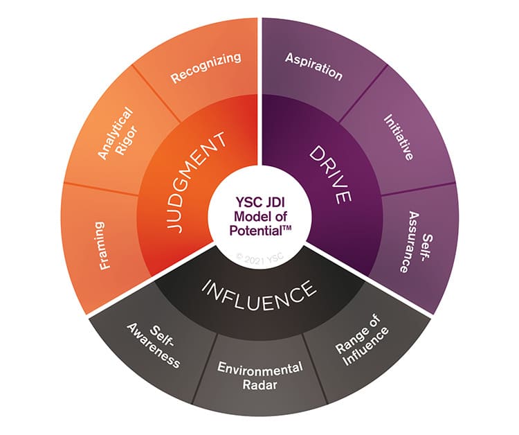 JDI (Judgment, Drive & Influence)