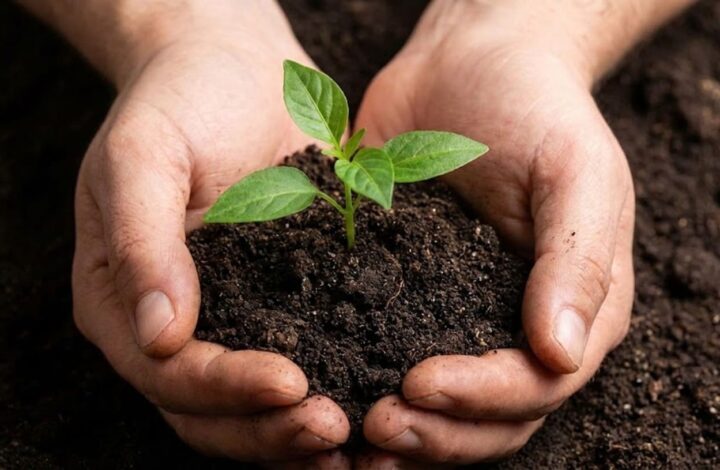 Líderes humildes líderes del futuro